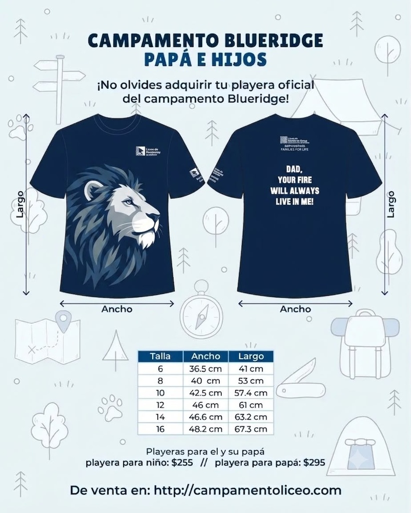 Playera Blueridge