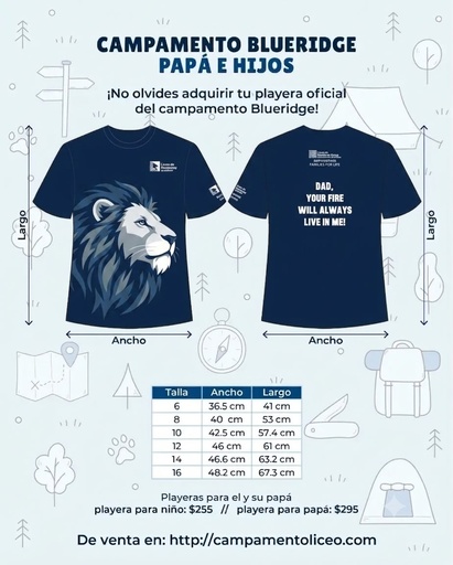 Playera Blueridge