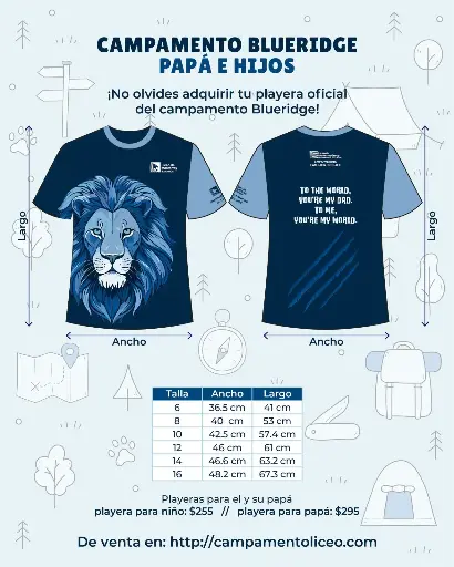 Playera Blueridge